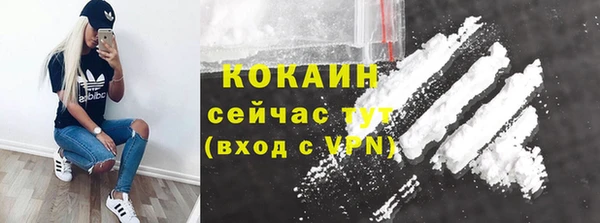 гашик Каменка
