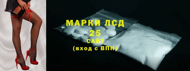 ПСИЛОЦИБИНОВЫЕ ГРИБЫ Карпинск