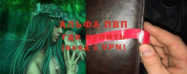 PSILOCYBIN Кинешма