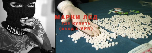 ПСИЛОЦИБИНОВЫЕ ГРИБЫ Карпинск