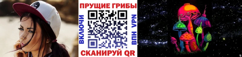 купить наркотик  Козельск  Галлюциногенные грибы мицелий 