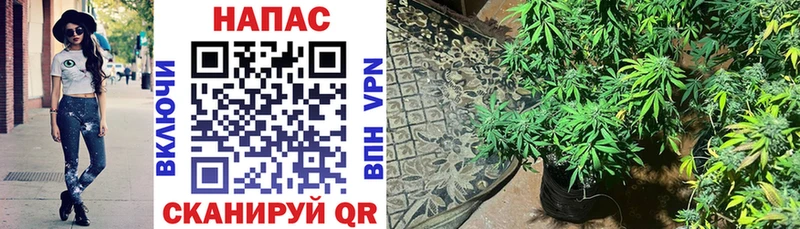 МАРИХУАНА Bruce Banner  закладки  Козельск 